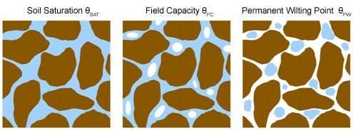 Soil Water Saturation--all pore spaces are filled with water Field Capacity amount of water remaining in the soil a few days after having been wetted and after gravity no longer pulls down