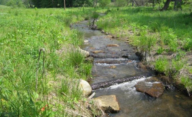 Proposed Stream Restoration Design Raise existing base flow channel to reconnect with wetlands and floodplain