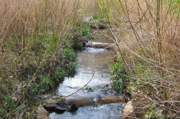 banks that causes erosion Incorporate woody structures into stream for grade-control, habitat and wetland