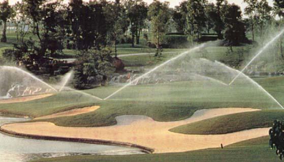 Trees can be irrigated with individual bubblers installed at the base of each tree.