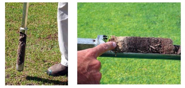 An audit can help you identify if your irrigation systems are operating efficiently. Active root zone is the soil depth from which a plant extracts most of its water needs.