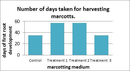 b) Effects of marcotting media on the time taken to harvest a successful marcott: The marcotts on the Control Medium (Peat moss) and treatment 3 (peat moss plus 10% sphagnum moss and powder hormone)