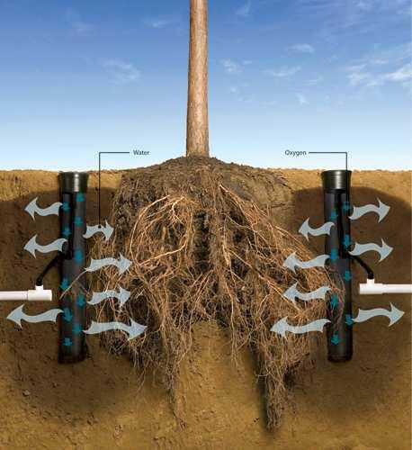 What is a Root Watering System?