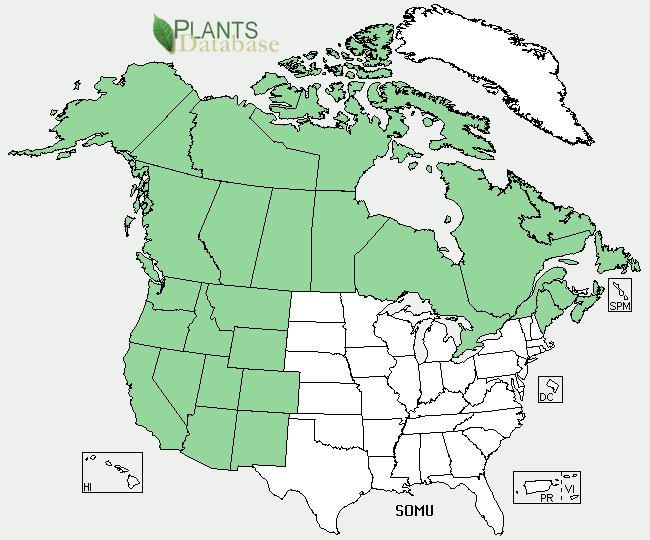 Plant Propagation Protocol for [Insert Species] ESRM 412 Native Plant Production A. B. A. North America Distribution (USDA PLANTS database) B.