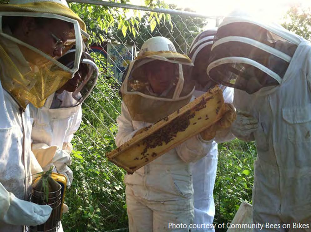 POLICY OPPORTUNITIES: GARDEN ACTIVITIES AND RULES Beekeeping Allow community