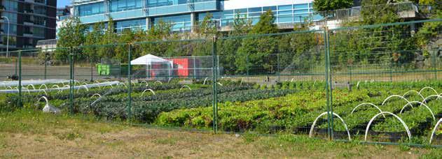 12. Neighbourhood Food Systems Other Relevant Policies & Bylaws Goals: 1. Create more places to get and grow food close-to-home 2.