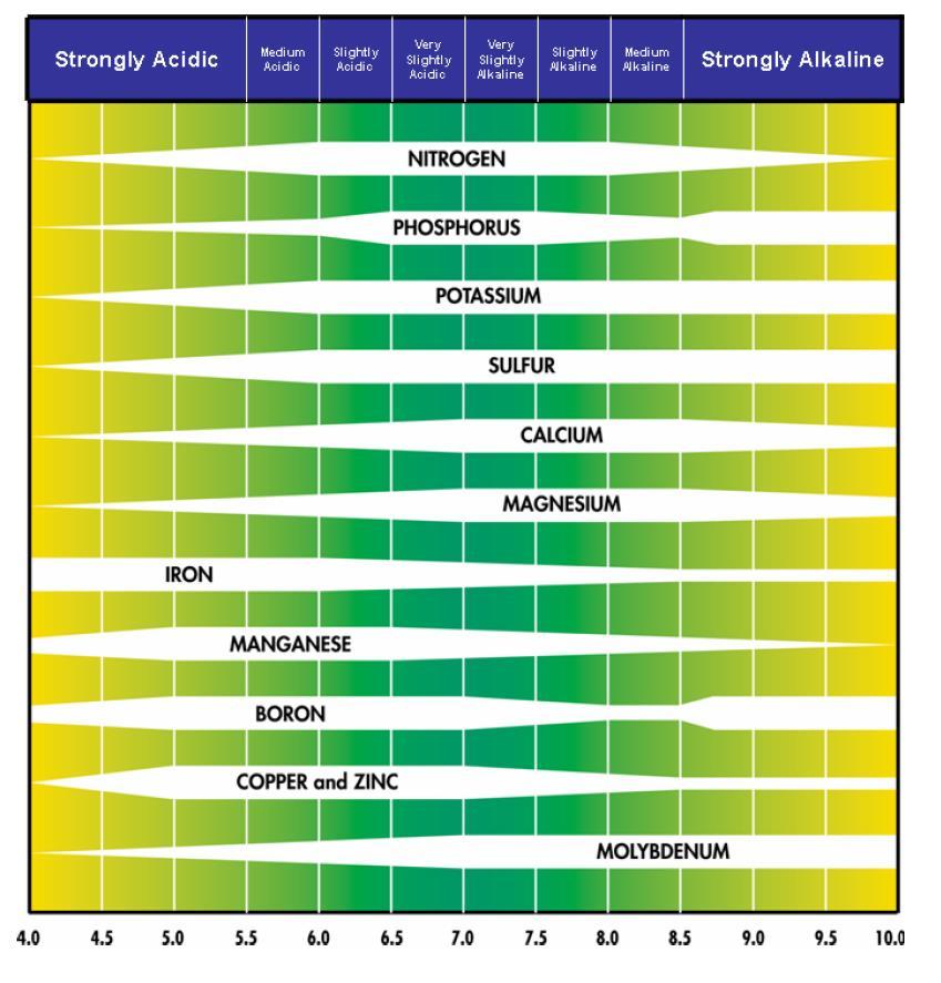 ph and Nutrient Availability The optimum ph range allows for the maximum availability of nutrients for the plant.
