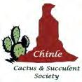 Succulent Morsels News of the Chinle Cactus & Succulent Society July 2013 Vol. 5, No.