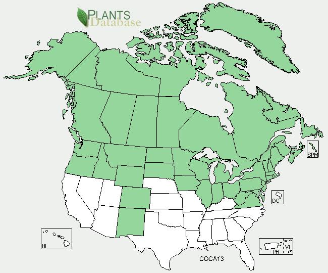 puddingberry Species Code COCA 13 Geographical range (distribution maps for North America and Washington state) GENERAL INFORMATION Alaska, south to mid latitudes of the Rockies, east to Atlantic