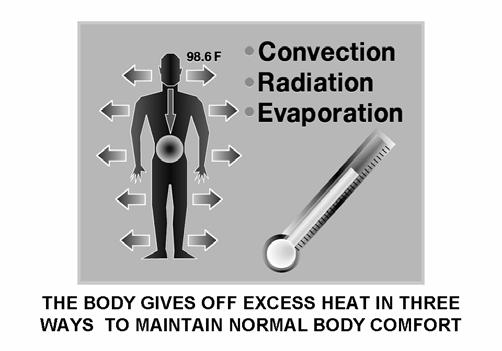 AIR CONDITIONING THERMODYNAMICS 4. Heat is rejected from our bodies through three processes: convection; radiation; and evaporation.