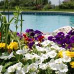 Seasonal Color Your landscape is alive with color when you include seasonal plantings in your lawn care program.