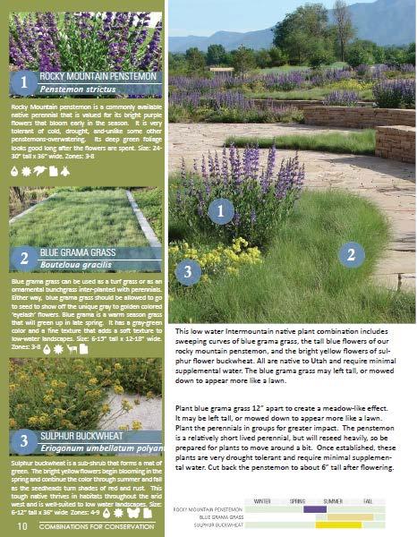 COMBINATIONS FOR CONSERVATION RIGHT PLANT(S) RIGHT PLACE 3 Plants that work well together Design: how and why they go