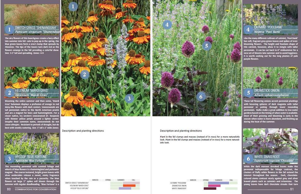COMBINATIONS FOR CONSERVATION 5) PARTNERING PERENNIALS Contrasting and