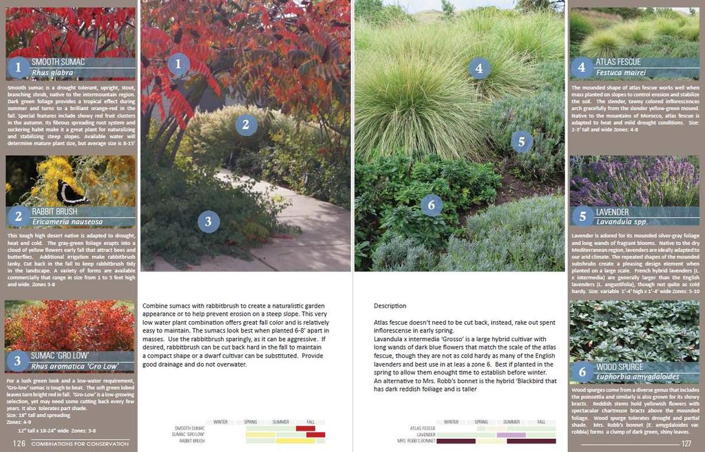TYPES OF PLANTING COMBINATIONS 9) DIFFICULT SPOTS