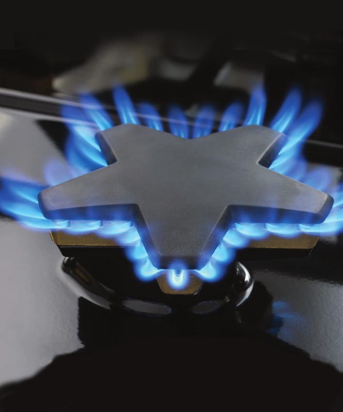 OUR EXCLUSIVE, PATENTED STAR BURNER The Star Burner s unique shape isn t just for show.