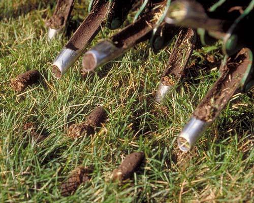 Core Aeration Reduces compaction Good