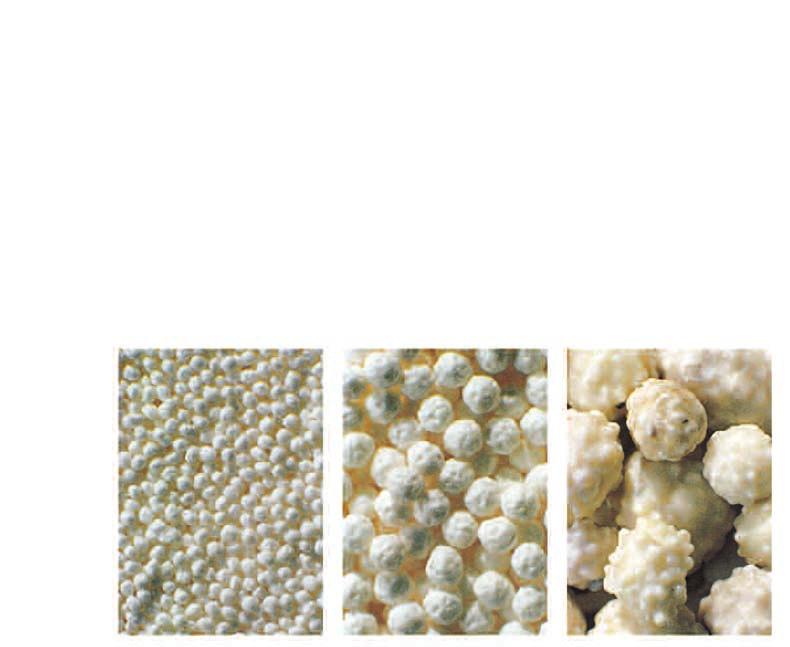 Granulation dryers: From fluid to granulate.