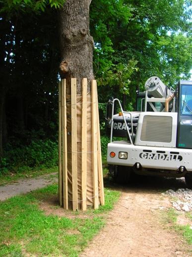 5. Protective Fencing for Tree Trunks Fencing may be placed around each trunk according to the following picture.