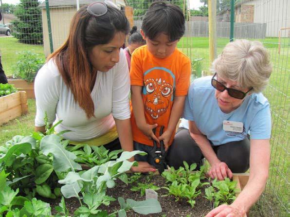 MASTER GARDENER PROGRAM HENNEPIN COUNTY APPLICATION INFORMATION PROGRAM YEAR 2018 Become a Master Gardener Volunteer -- Hennepin County! Share your gardening and horticulture experience with others!