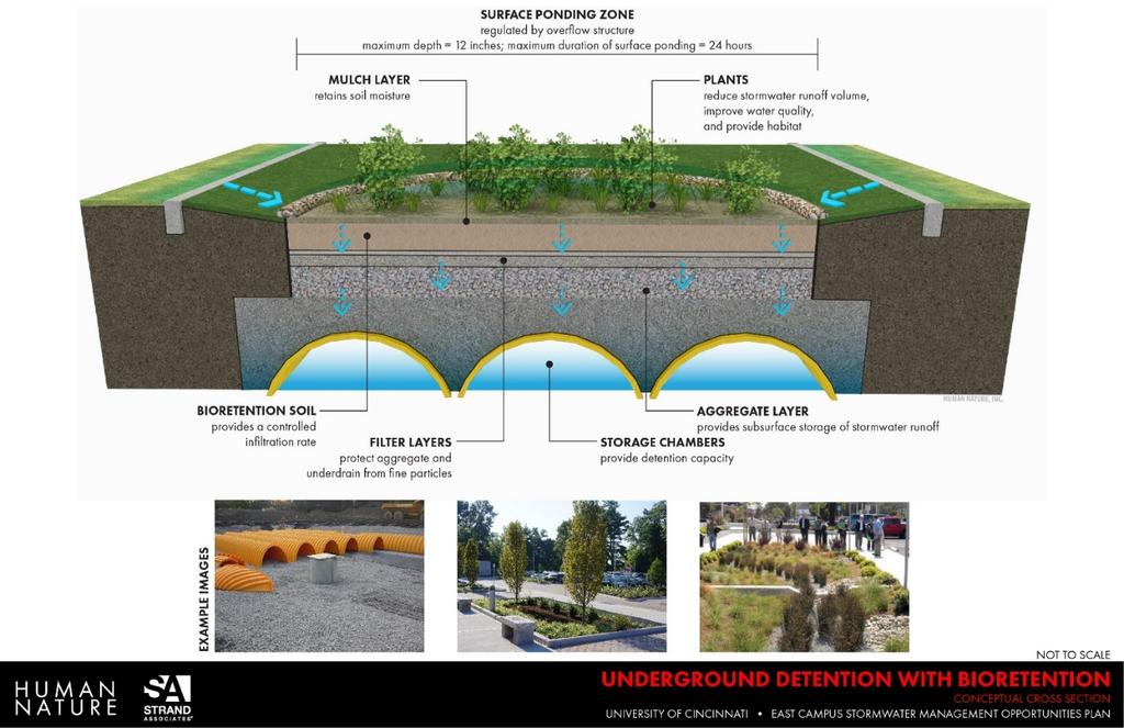 Figure 10: Example Conceptual Cross Section for Bioretention A full-size version of this map is provided in Appendix A.