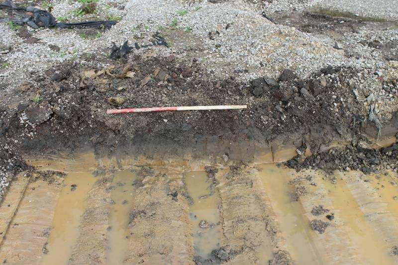 Trench 1 looking east, 2m scale Plate