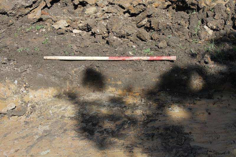 Barnes Hospital, Cheadle, Stockport: Archaeological Evaluation 20 Plate 15: Trench 6, south-facing section, 1m scale 3.7 