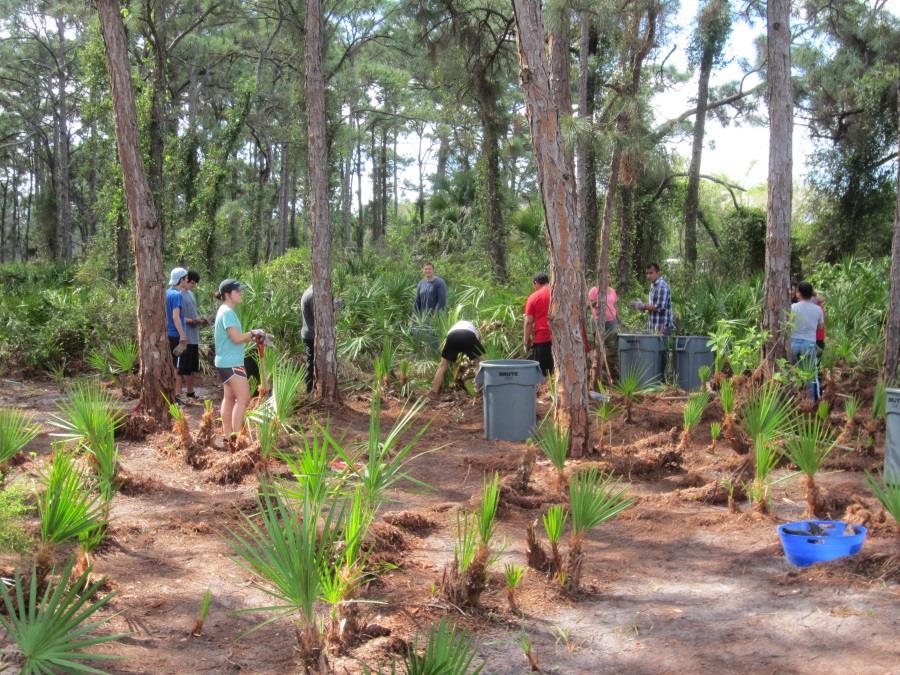 Develop a Master Plan for the Preserve as part of the Gordon River Greenway system The Preserve Evaluate the possibility of a closer relationship with the Conservancy of Southwest Florida
