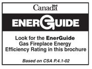 installations) All Enviro fireplaces can run on either natural gas or propane. cement board A B C Our exclusive pilot system ensures continual heat even if the power goes out.