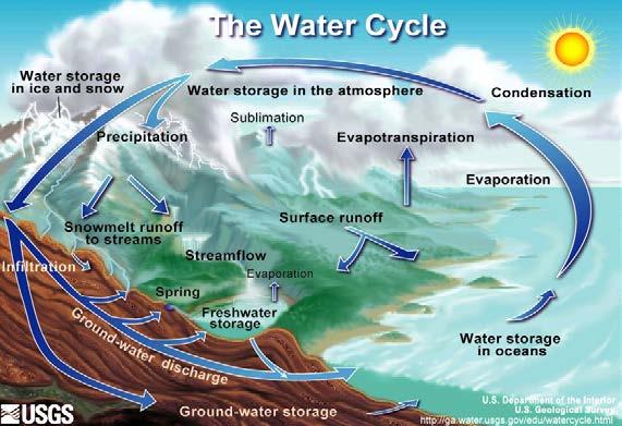 The Earth s Hydrologic Cycle Earth s Water Distribution Ocean covers 71% of the