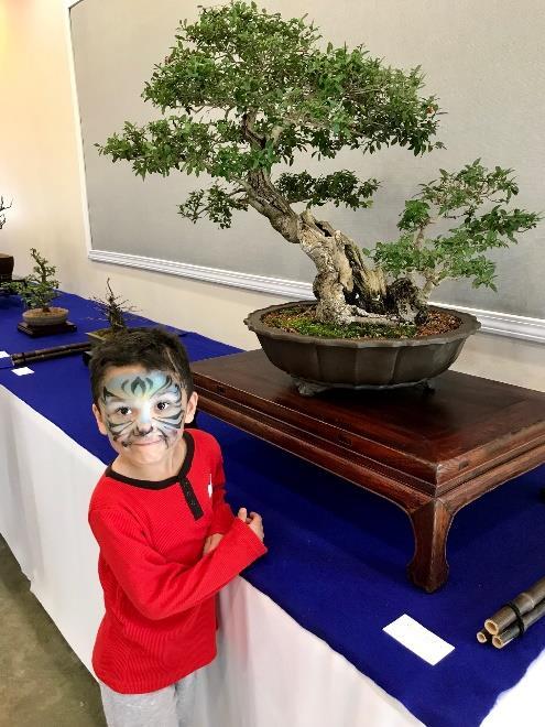 BSD NEWSLETTER PAGE 6 Club Bonsai Show in Photos By Chris Scholz and John Borusheski Tip of the Month
