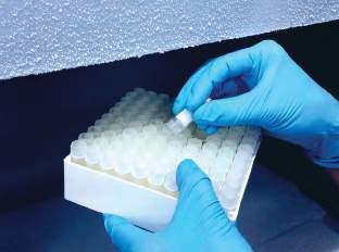 Our experience in biomedical cold storage c For over 80 years Angelantoni has been producing a full range of freezers for the long-term preservation of biological samples used in scientific