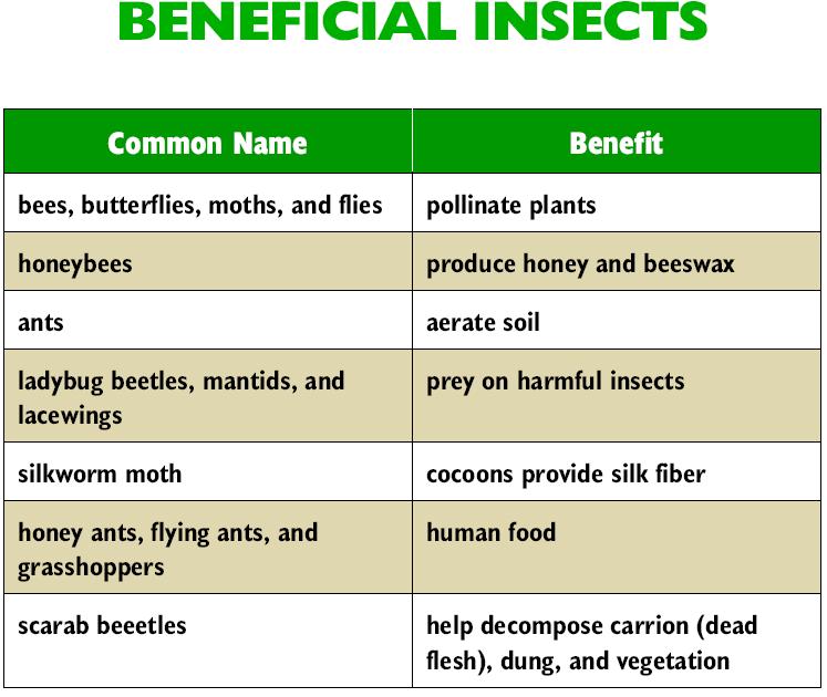 14 Benefit classification of insects.