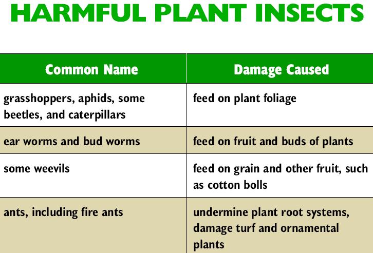 15 Benefit classifications of insects A harmful insect is one that causes damage to plants, animals, or property. It injures or destroys what it attacks.