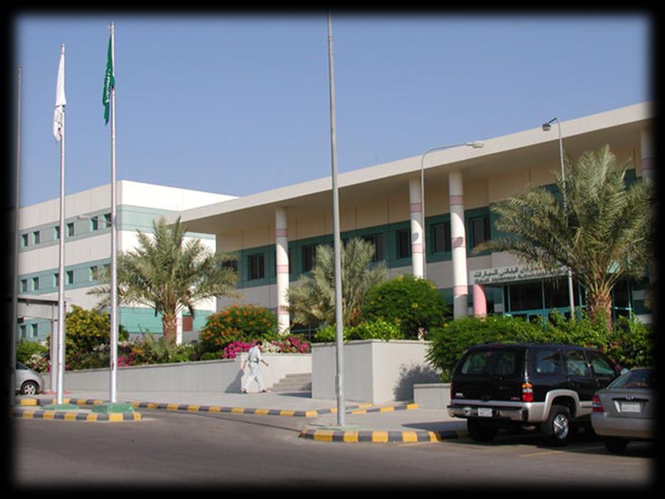 Successful Example Saudi Japanese Automobile High Institute