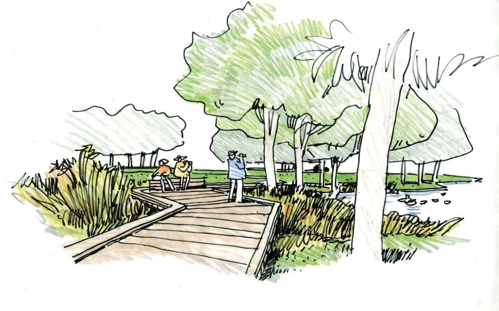 Carmody Park Master Plan 6 - MASTER PLAN SUMMARY CARMODY POND Carmody Pond is the heart of the park bringing a touch of nature and open water to the park.