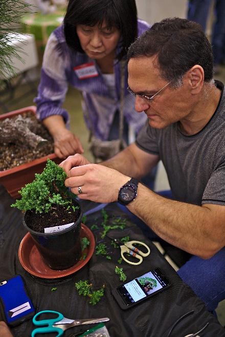 After the workshop, we had a raffle for several junipers and jade plants. Jin Chung won 3 of the 5 items (John Miller selected the raffle tickets so we know it was on the level).