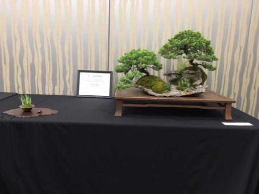 Planting and Best in Show!