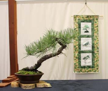 He is a long time student of Wm. N. Valavanis and teaching assistant at the International Bonsai Arboretum. His Bonsai have been displayed in all 5 US National Exhibitions and the Artisans Cup.