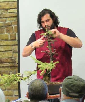 April Meeting Highlights ur April meeting featured Tyler Sherrod from North Carolina who presented O a very informative program and demonstration on Collected Spruce Bonsai to a