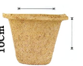 12 Pot Perfect for planting directly