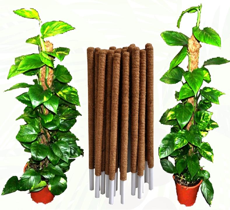 COCO POLES - Plant support 5 Feet 4 Feet 3 Feet 2