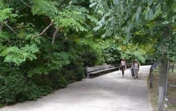 natural quality, with winding paths Shade along