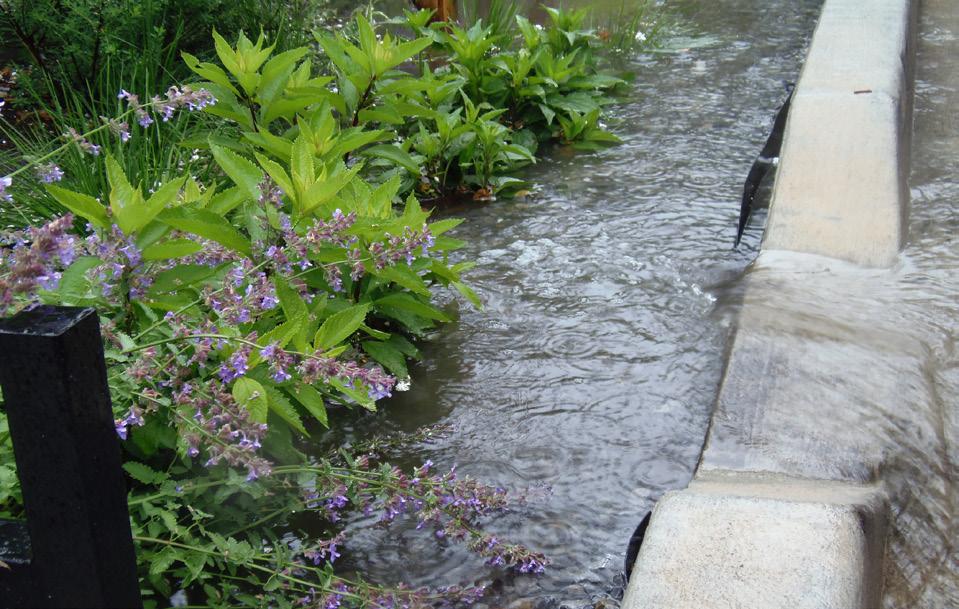 runoff with green infrastructure