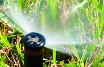 Use micro-irrigation to water planting beds.