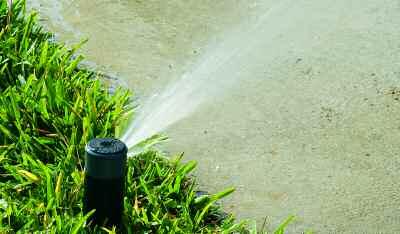 Spray heads should have sufficiently large bodies so that they are above the normal turf level when spraying water.