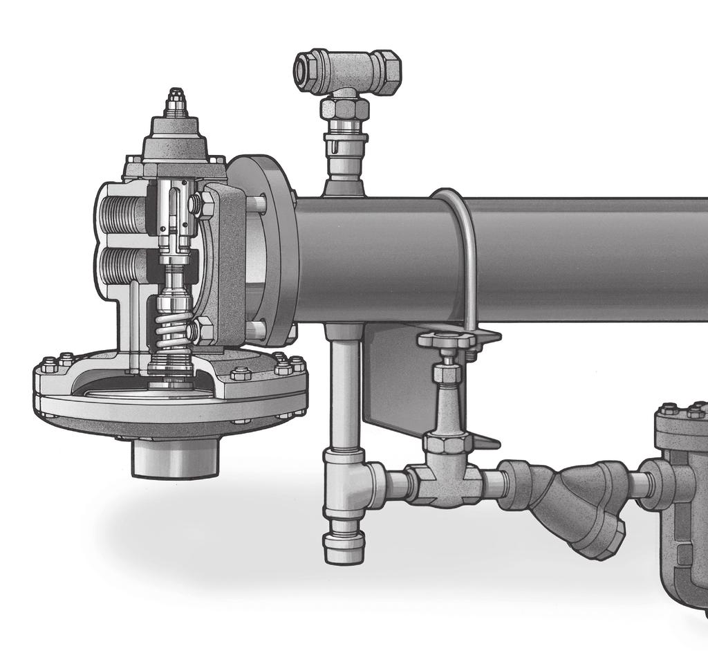 The Flo Rite Temp instantaneous Steam/Water heater has a unique feed forward design which features a differential pressure diaphragm actuated mixing unit integral to a shell and tube heat exchanger.