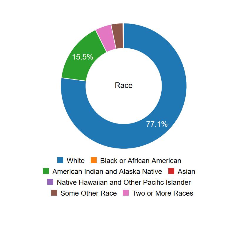 Demographics Ethnic/Racial Breakdown: Race Percentage White 77.