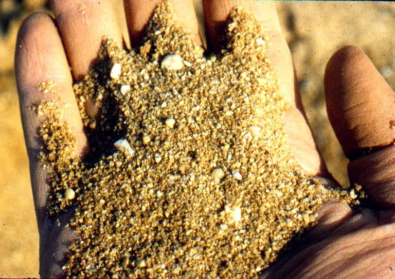 Soil particles Sand: Particles range in size from very fine (0.05 mm) to very coarse (2.0 mm) in average diameter.