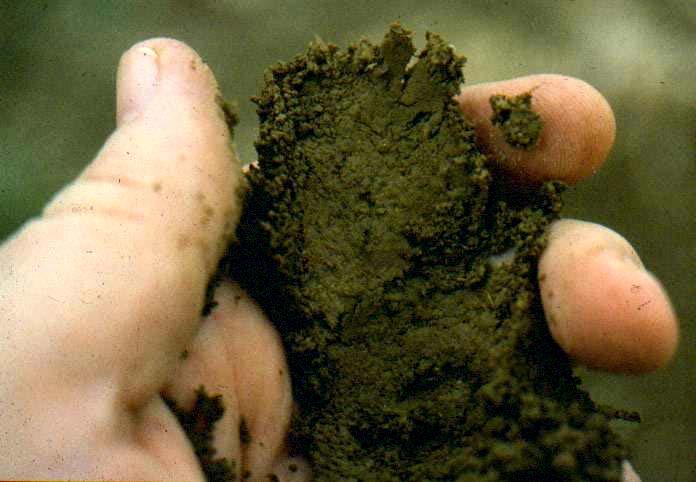 Soil particles Silt: Particles range in size from 0.05 mm to 0.002 mm.