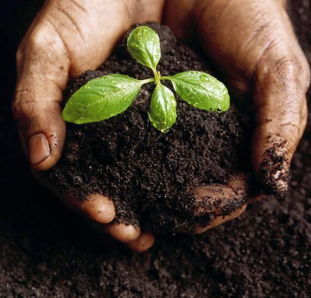 Soil organic matter: Soil organic matter Plant and animal residues in various stages of decay.
